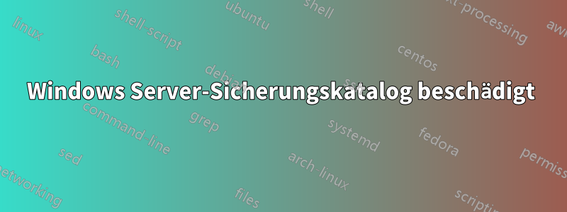 Windows Server-Sicherungskatalog beschädigt