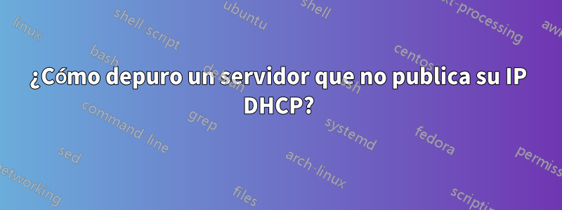 ¿Cómo depuro un servidor que no publica su IP DHCP?