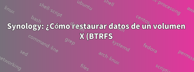 Synology: ¿Cómo restaurar datos de un volumen X (BTRFS) eliminado accidentalmente?