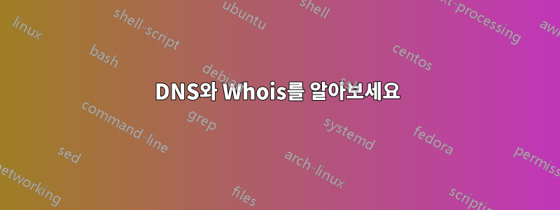 DNS와 Whois를 알아보세요