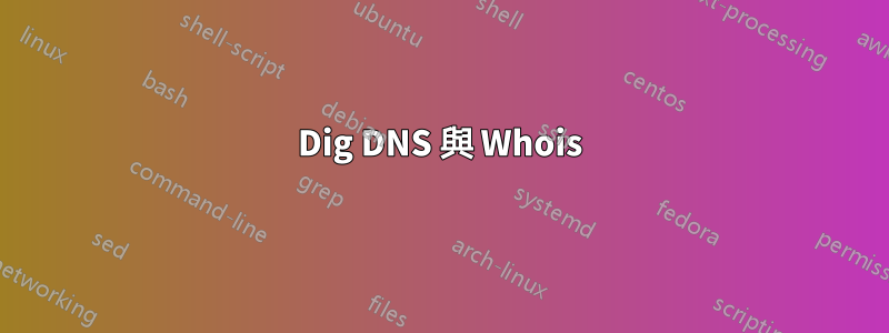 Dig DNS 與 Whois