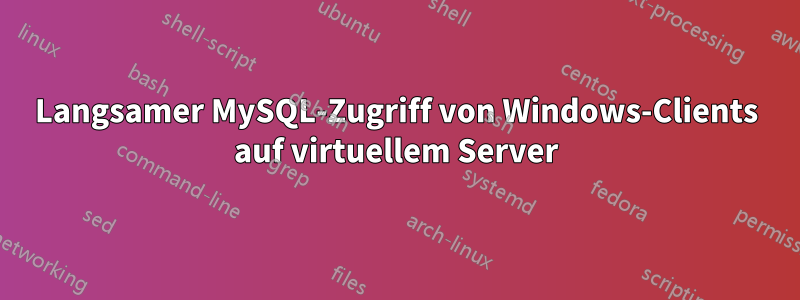 Langsamer MySQL-Zugriff von Windows-Clients auf virtuellem Server