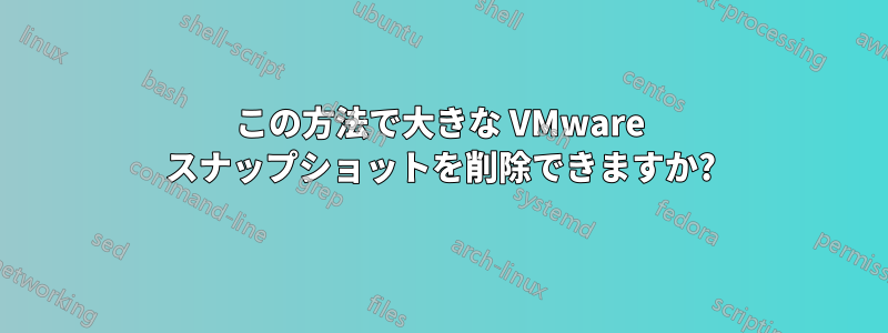 この方法で大きな VMware スナップショットを削除できますか?