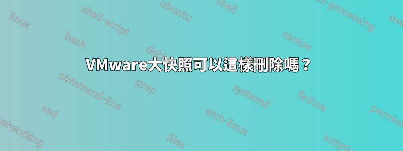 VMware大快照可以這樣刪除嗎？