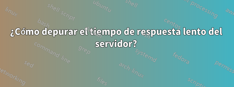 ¿Cómo depurar el tiempo de respuesta lento del servidor?