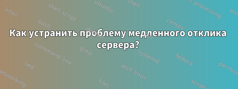 Как устранить проблему медленного отклика сервера?