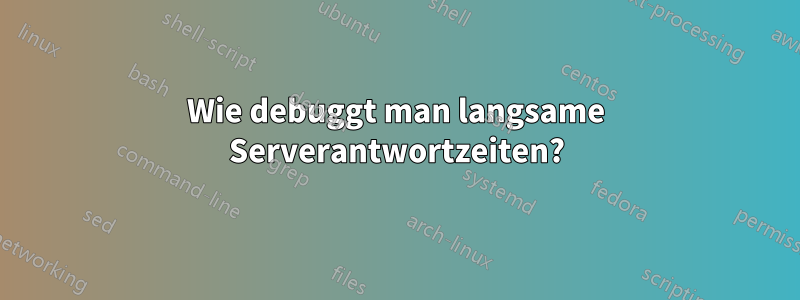 Wie debuggt man langsame Serverantwortzeiten?