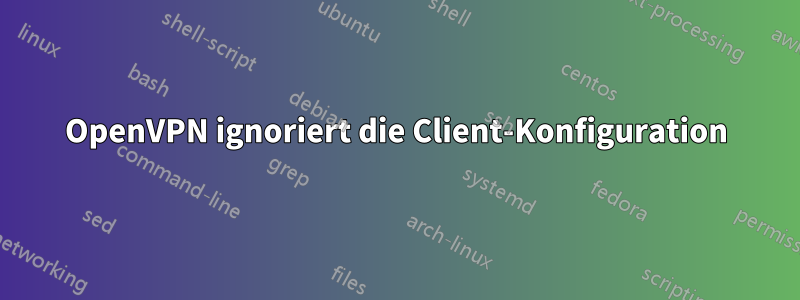 OpenVPN ignoriert die Client-Konfiguration