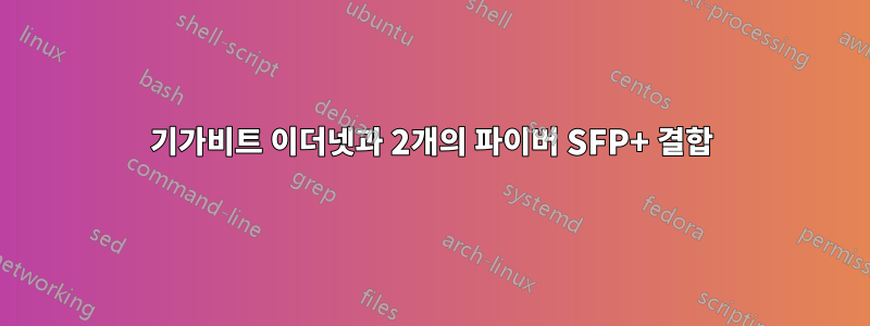 4기가비트 이더넷과 2개의 파이버 SFP+ 결합