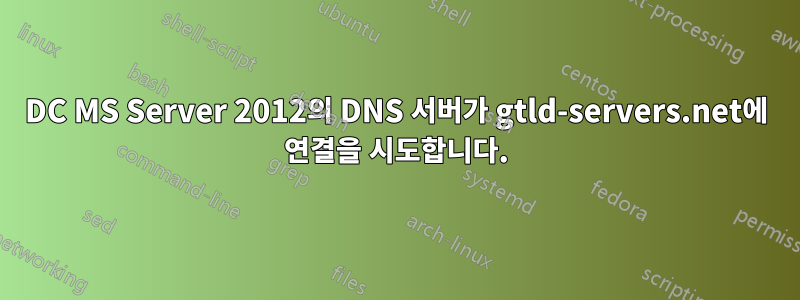 DC MS Server 2012의 DNS 서버가 gtld-servers.net에 연결을 시도합니다.