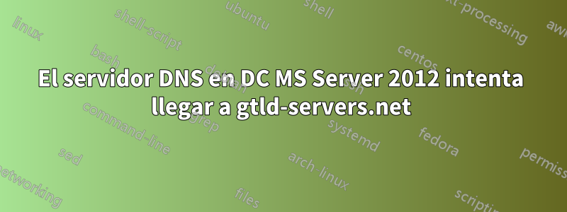 El servidor DNS en DC MS Server 2012 intenta llegar a gtld-servers.net