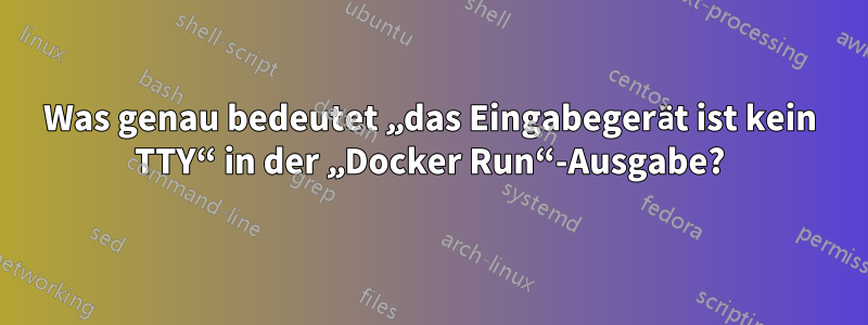 Was genau bedeutet „das Eingabegerät ist kein TTY“ in der „Docker Run“-Ausgabe?