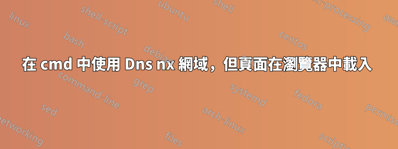 在 cmd 中使用 Dns nx 網域，但頁面在瀏覽器中載入