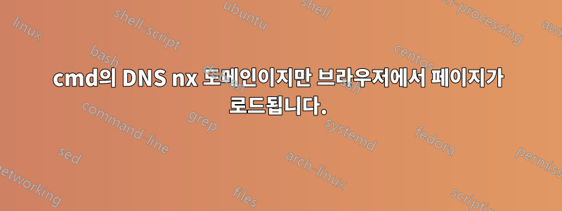 cmd의 DNS nx 도메인이지만 브라우저에서 페이지가 로드됩니다.