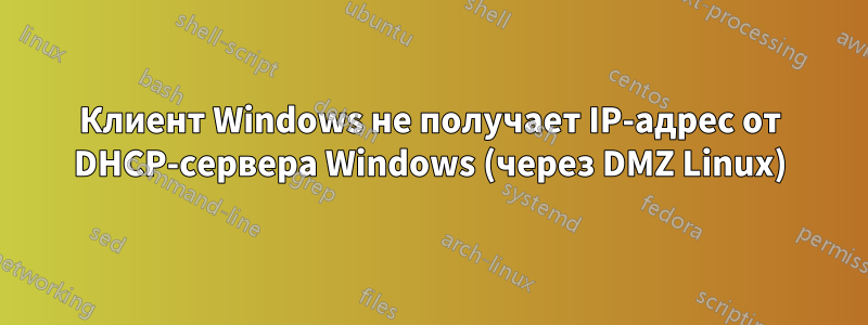 Клиент Windows не получает IP-адрес от DHCP-сервера Windows (через DMZ Linux)