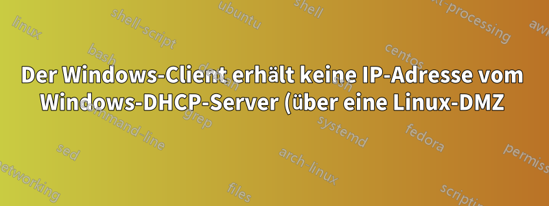 Der Windows-Client erhält keine IP-Adresse vom Windows-DHCP-Server (über eine Linux-DMZ)