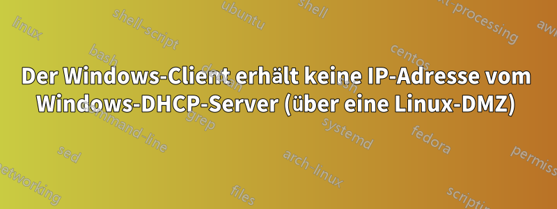 Der Windows-Client erhält keine IP-Adresse vom Windows-DHCP-Server (über eine Linux-DMZ)