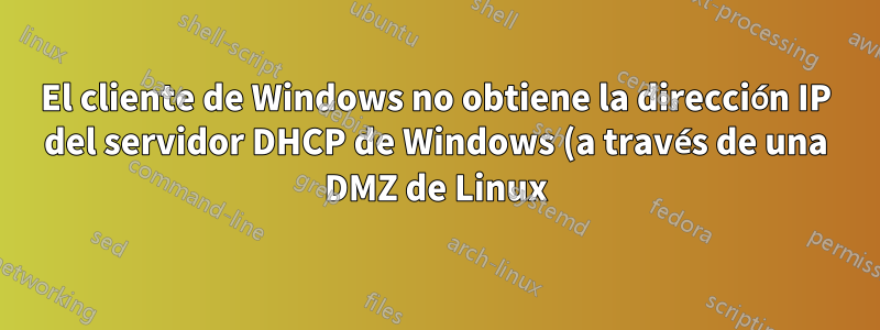 El cliente de Windows no obtiene la dirección IP del servidor DHCP de Windows (a través de una DMZ de Linux)