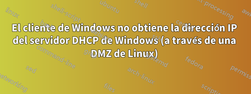 El cliente de Windows no obtiene la dirección IP del servidor DHCP de Windows (a través de una DMZ de Linux)