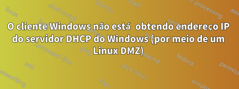 O cliente Windows não está obtendo endereço IP do servidor DHCP do Windows (por meio de um Linux DMZ)