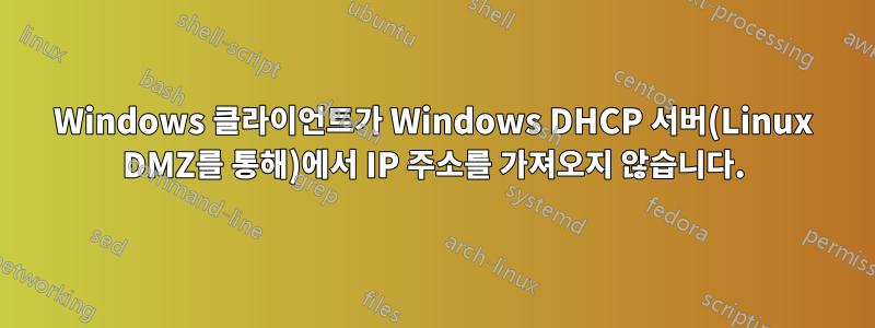 Windows 클라이언트가 Windows DHCP 서버(Linux DMZ를 통해)에서 IP 주소를 가져오지 않습니다.