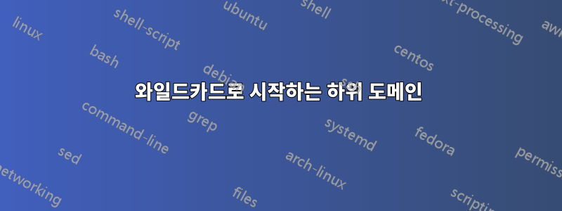 와일드카드로 시작하는 하위 도메인