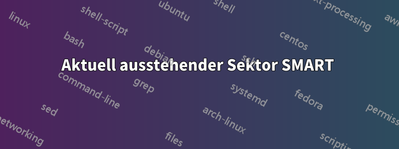 Aktuell ausstehender Sektor SMART