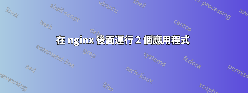 在 nginx 後面運行 2 個應用程式