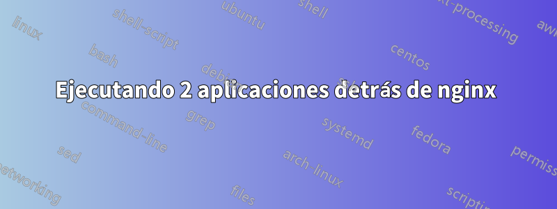 Ejecutando 2 aplicaciones detrás de nginx