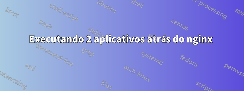 Executando 2 aplicativos atrás do nginx