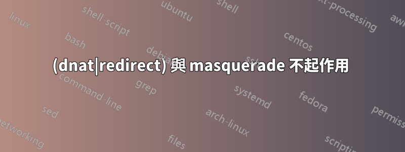 (dnat|redirect) 與 masquerade 不起作用