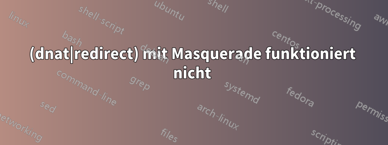 (dnat|redirect) mit Masquerade funktioniert nicht