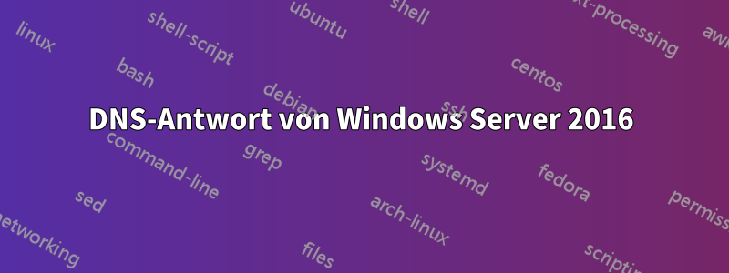 DNS-Antwort von Windows Server 2016