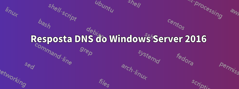 Resposta DNS do Windows Server 2016