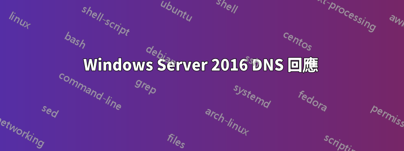 Windows Server 2016 DNS 回應