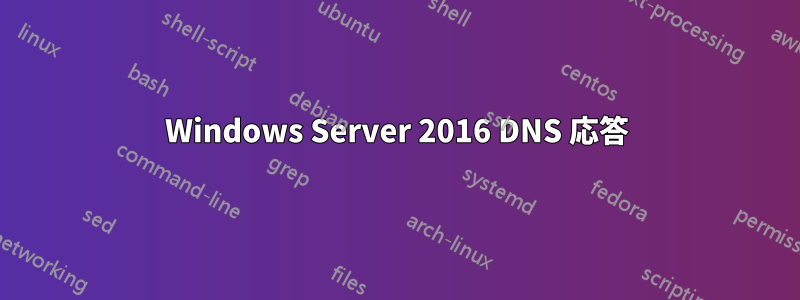 Windows Server 2016 DNS 応答