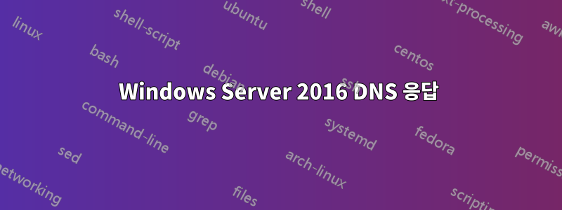 Windows Server 2016 DNS 응답