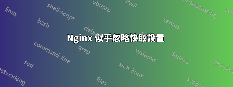 Nginx 似乎忽略快取設置