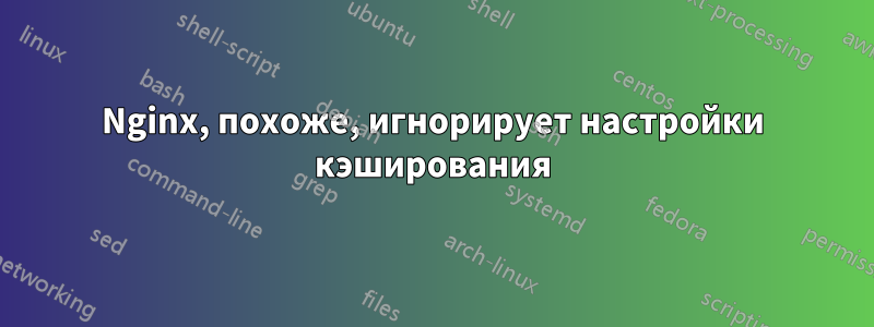 Nginx, похоже, игнорирует настройки кэширования