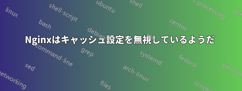 Nginxはキャッシュ設定を無視しているようだ