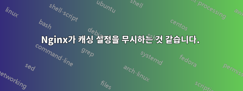 Nginx가 캐싱 설정을 무시하는 것 같습니다.