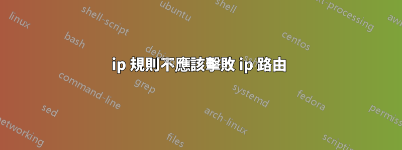 ip 規則不應該擊敗 ip 路由