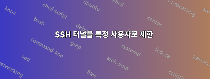 SSH 터널을 특정 사용자로 제한