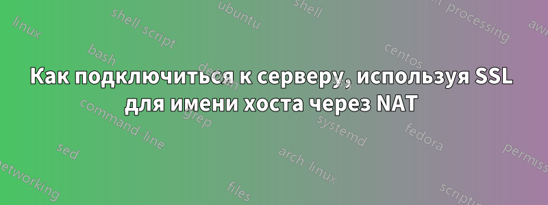 Как подключиться к серверу, используя SSL для имени хоста через NAT