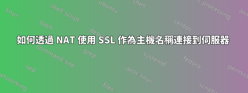 如何透過 NAT 使用 SSL 作為主機名稱連接到伺服器