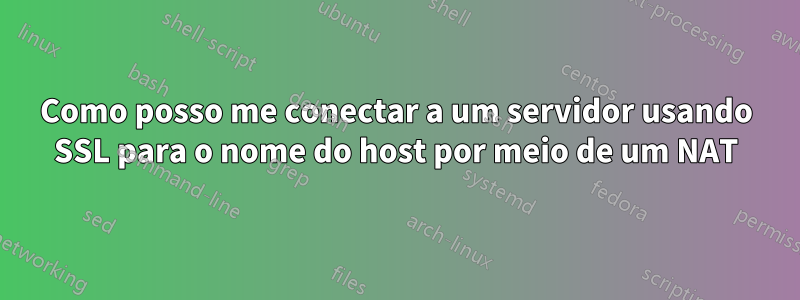 Como posso me conectar a um servidor usando SSL para o nome do host por meio de um NAT