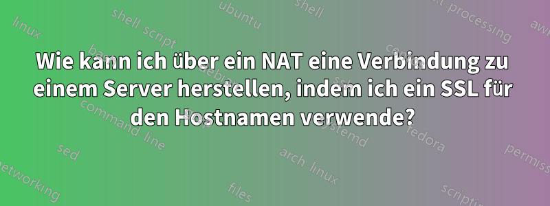 Wie kann ich über ein NAT eine Verbindung zu einem Server herstellen, indem ich ein SSL für den Hostnamen verwende?