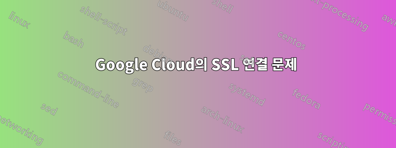 Google Cloud의 SSL 연결 문제