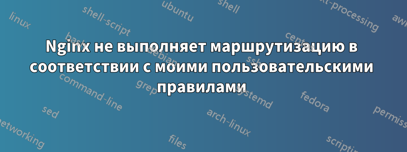 Nginx не выполняет маршрутизацию в соответствии с моими пользовательскими правилами