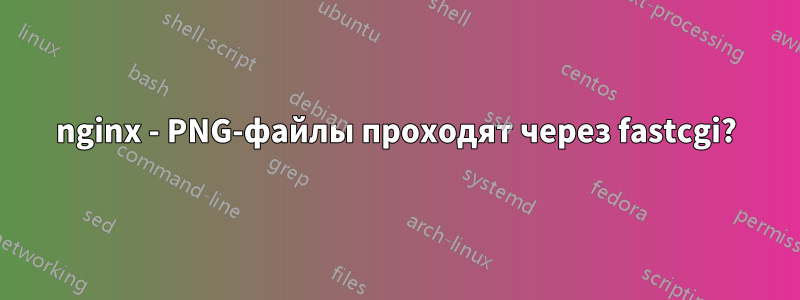 nginx - PNG-файлы проходят через fastcgi?